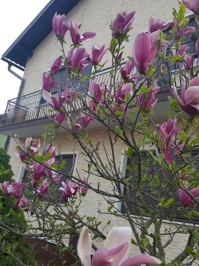 Apartmani Grlice II Varaždin Exteriér fotografie